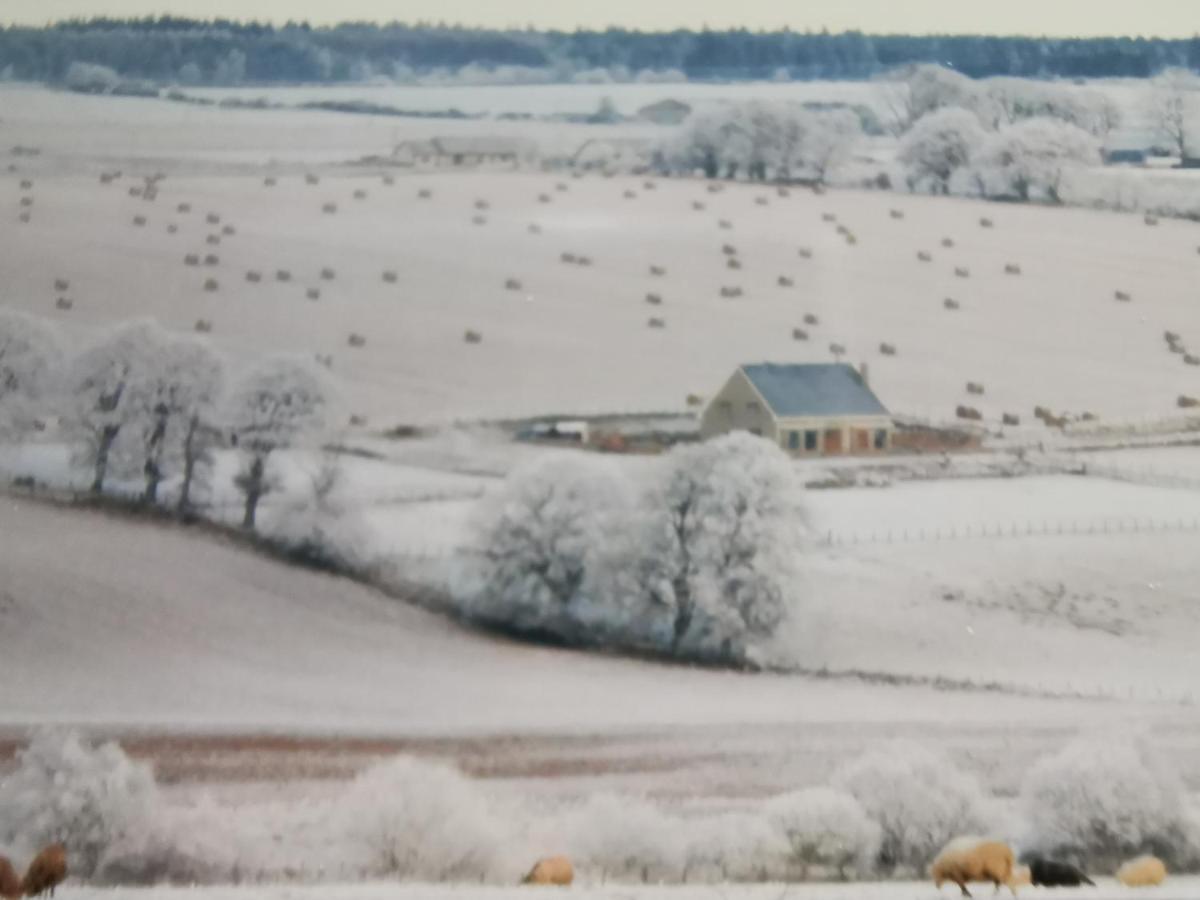 Hillhaven Bed &Breakfast Bed & Breakfast Fortrose Exterior photo
